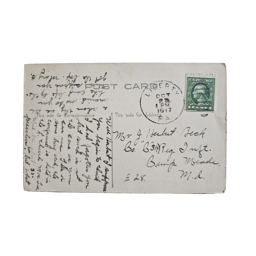 Valentine Postcard Dutch Woman with Puppy Dog