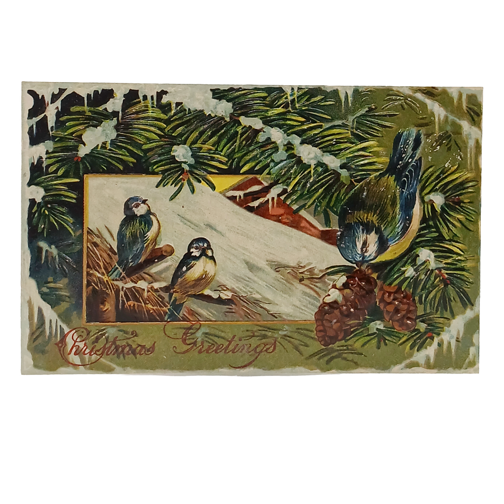 Christmas Postcard Chickadee Birds in Snow Covered Pine Trees