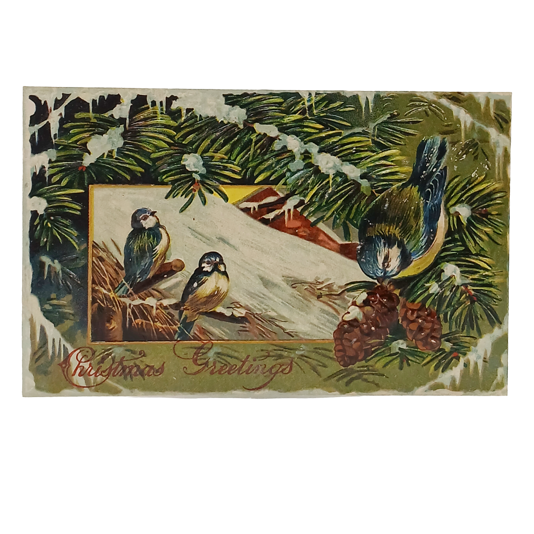 Christmas Postcard Chickadee Birds in Snow Covered Pine Trees