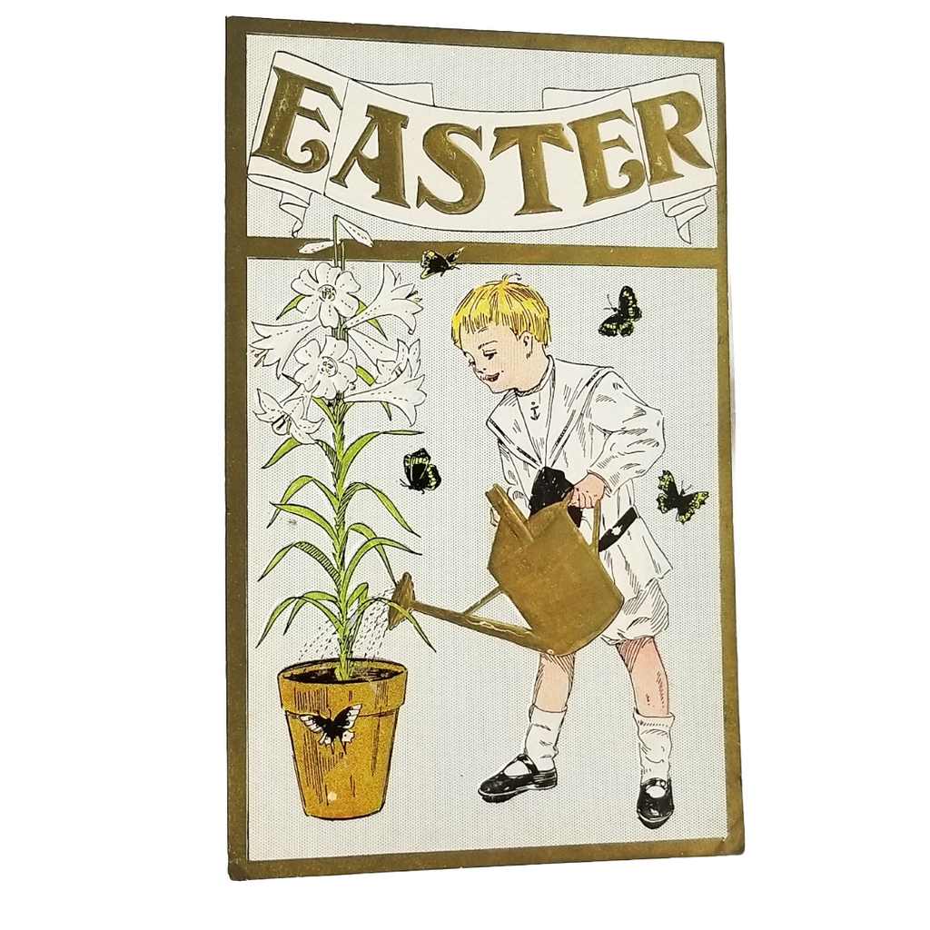 Easter Postcard Series 1007 Boy Watering Lily Black Butterflies