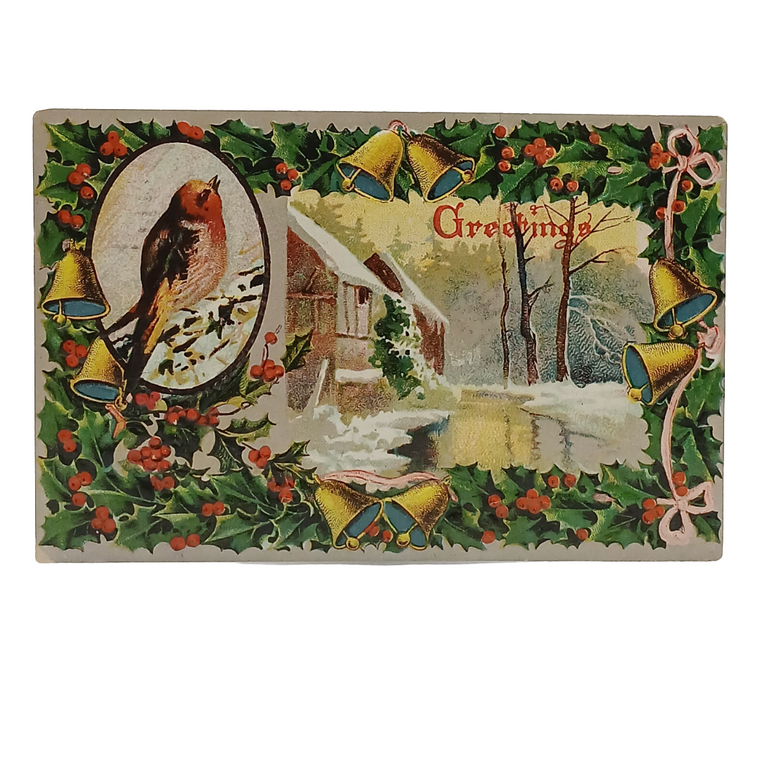 Christmas Postcard Song Bird in Winter Landscape Holly Border