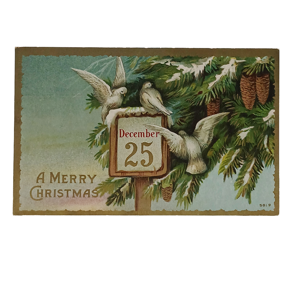 Christmas Postcard Doves on Snow Covered Pine Tree December 25th Sign