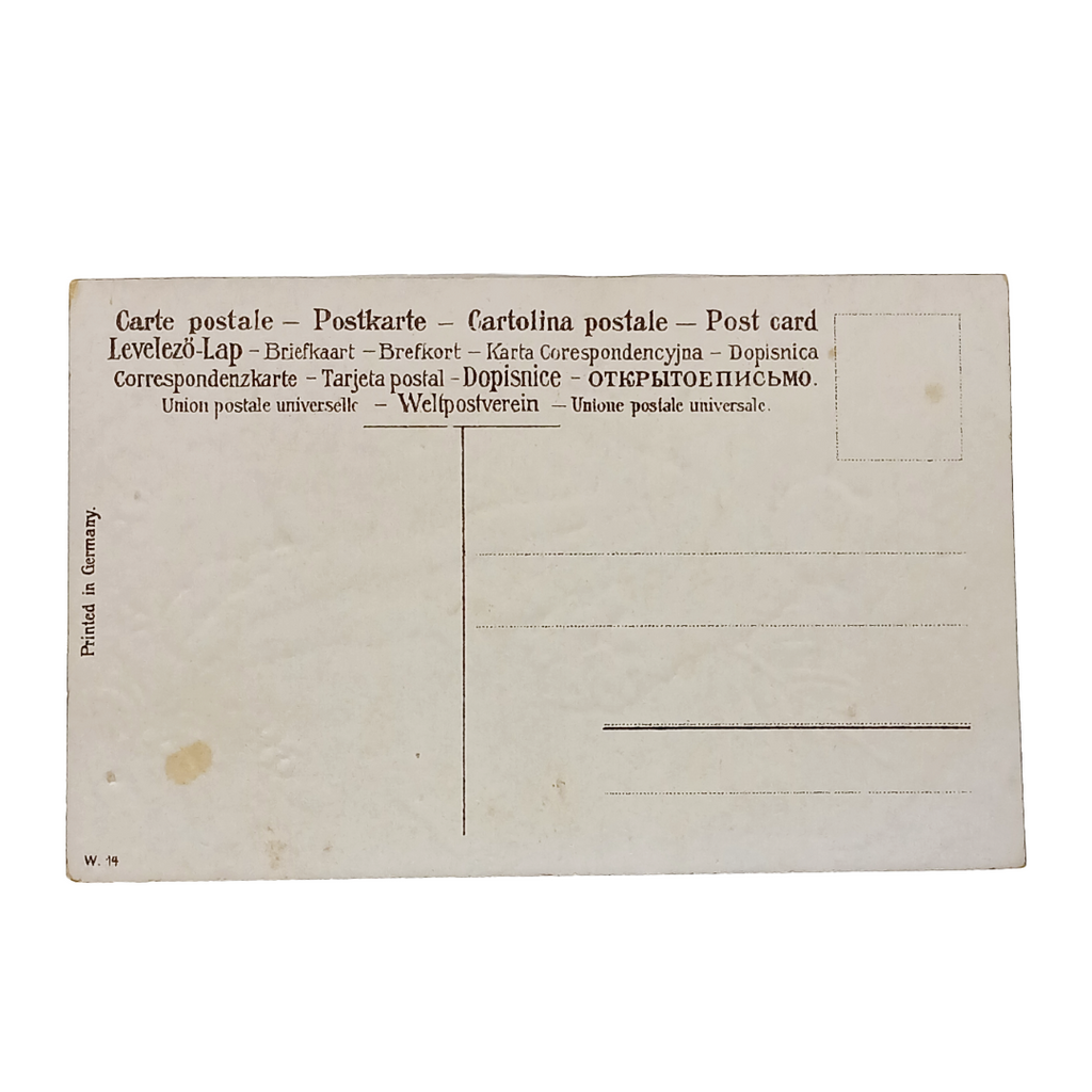 Santa Claus Christmas Postcard Old World St Nick in Brown Robe Carrying Box of Goodies and Tree