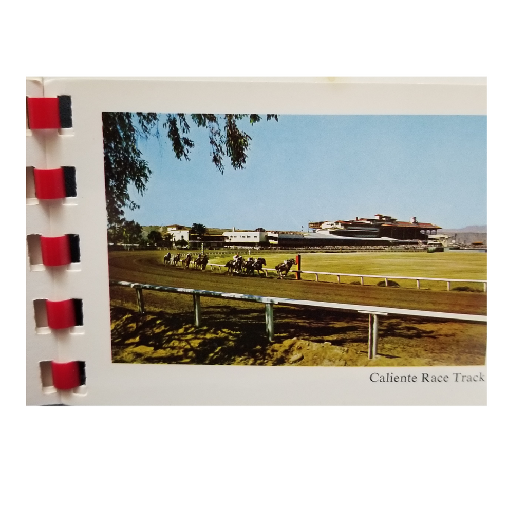 Postcard View of Tijuana Mexico Full Cover Booklet