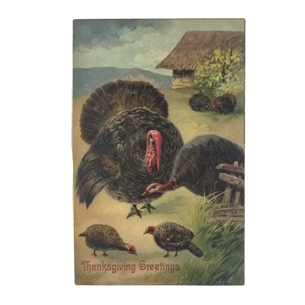 Thanksgiving Postcard Turkeys with Baby Chicks in Yard Series 1376
