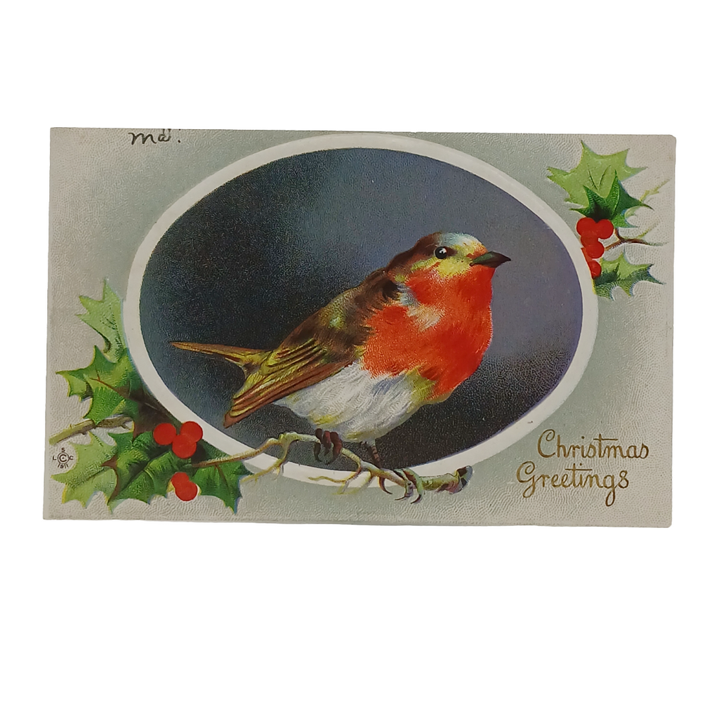 Christmas Postcard Robin on Branch in Winter Series 227 B