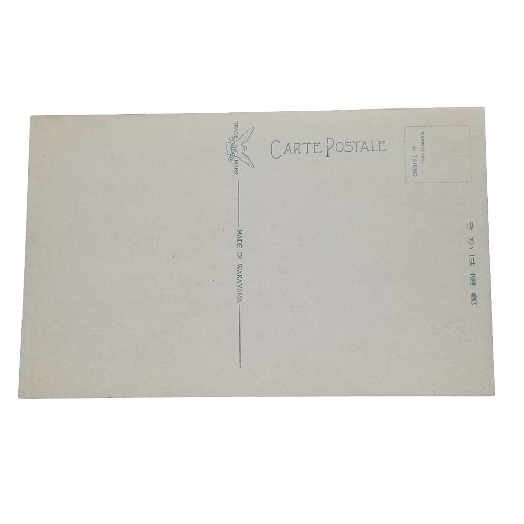 Tokyo Kanto Japan Postcard Nanshinmon Gate of Meiji Shrine RPPC Style 1900s