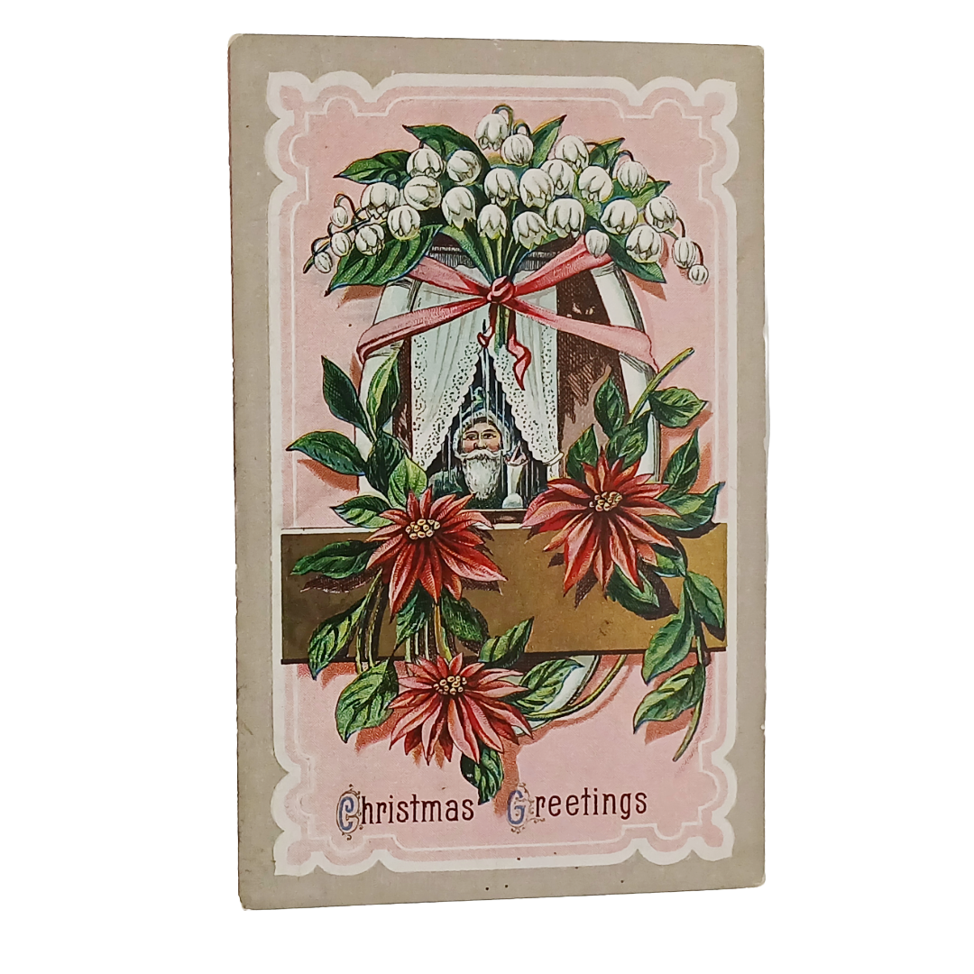 Christmas Postcard Blue Robe Santa in Window, Flowers, Pine Cones, Holly Border