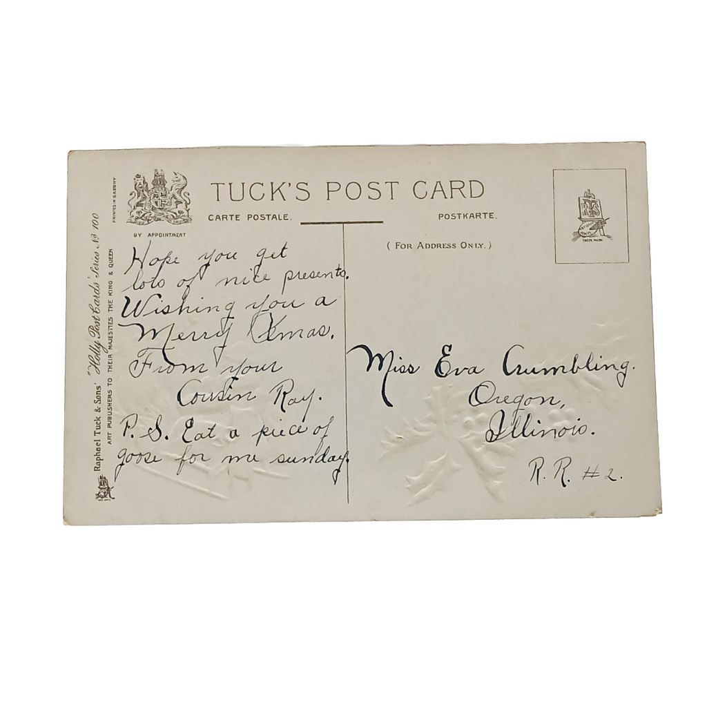 Christmas Postcard Santa Blue Robe Driving Sleigh Raphael Tuck Series 100