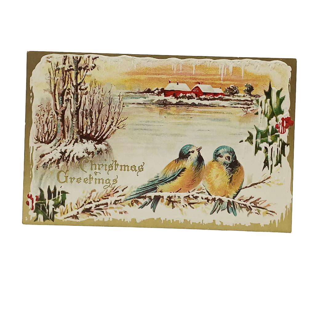 Christmas Postcard Blue Birds on Branch in Winter Series 2046