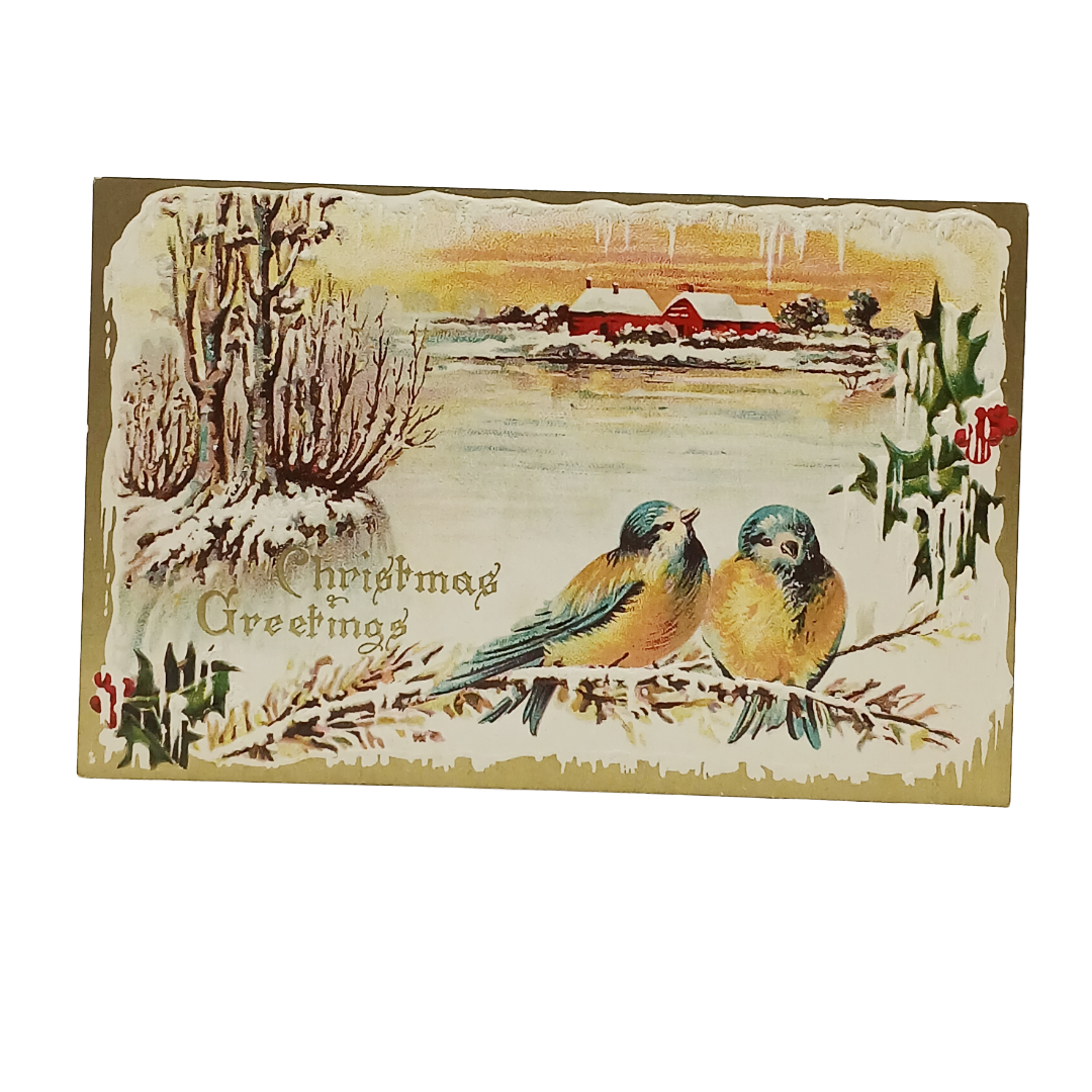 Christmas Postcard Blue Birds on Branch in Winter Series 2046