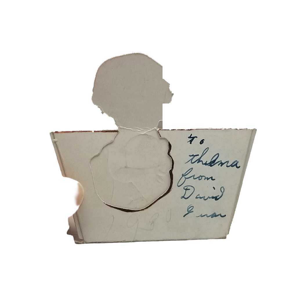 Vintage Valentine Die Cut Girl in Washtub with Puppy Dog