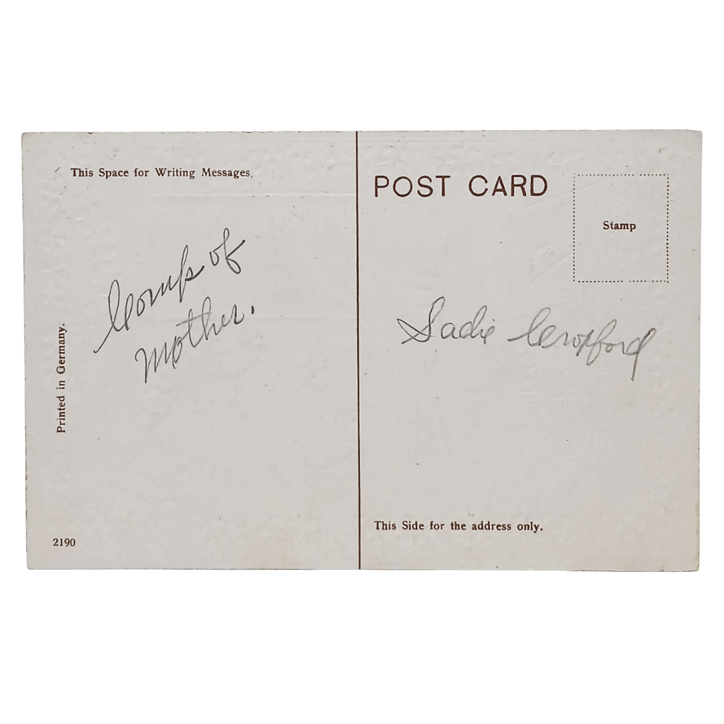 Saint Patrick's Day Postcard Phoenix Park Dublin