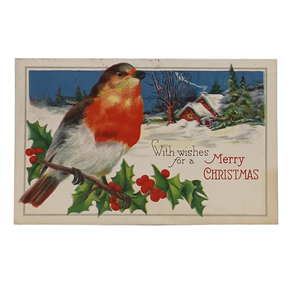 Christmas Postcard Robin Bird on Branch Winter Landscape & Home
