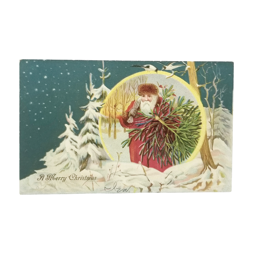 Christmas Postcard Santa Claus Night Snowscape Tree & Birds Series 325