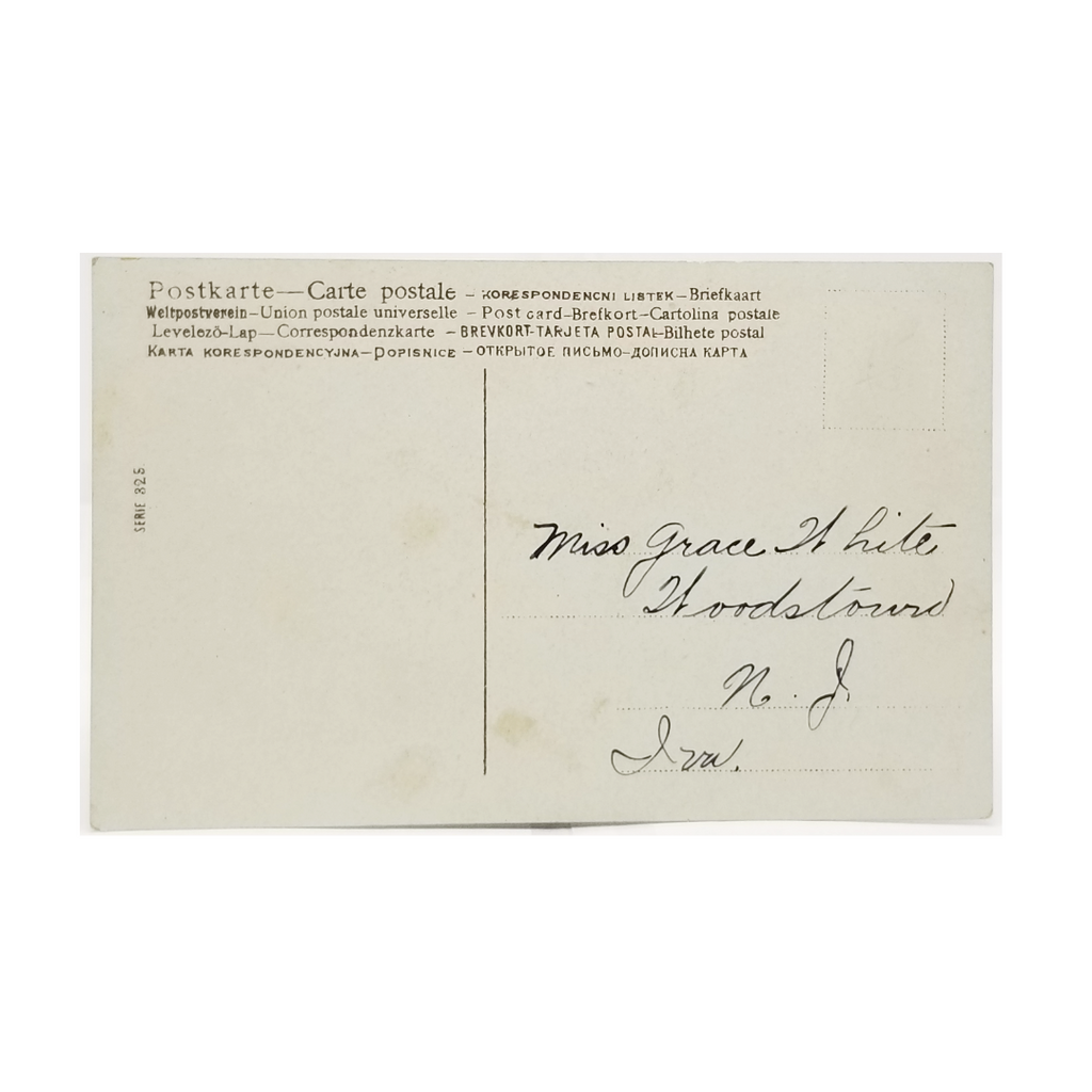 Christmas Postcard Santa Claus Night Snowscape Tree & Birds Series 325