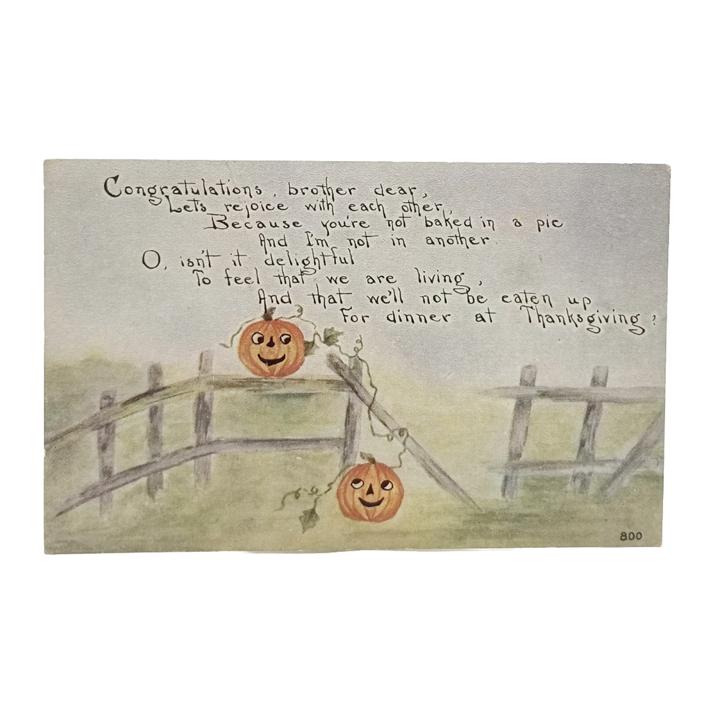 Halloween Thanksgiving Postcard Pumpkin Patch Owen Series 800