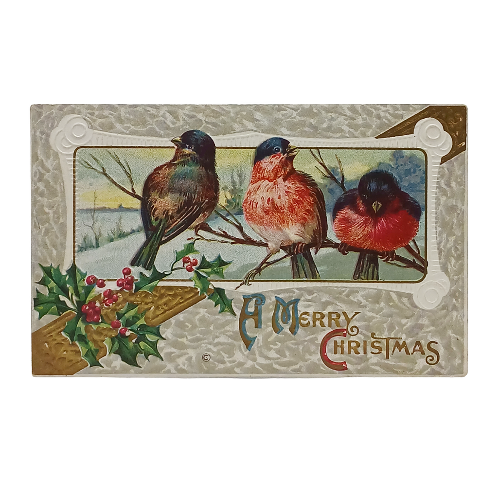 Christmas Postcard Birds on Branch Gold Embossed w/ Holly