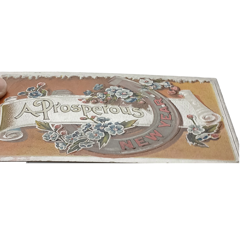 New Year Postcard Silver Horseshoe Around Scroll w/ Flowers Sliver Border