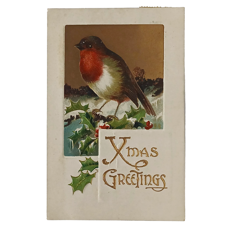Christmas Postcard Embossed European Robin Perched in Snow