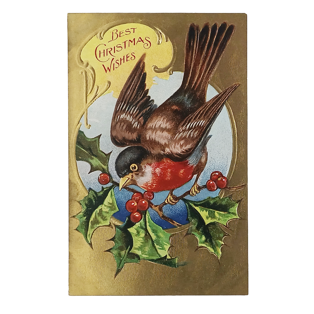 Christmas Postcard Gold Embossed Robin Bird in Snow with Berries