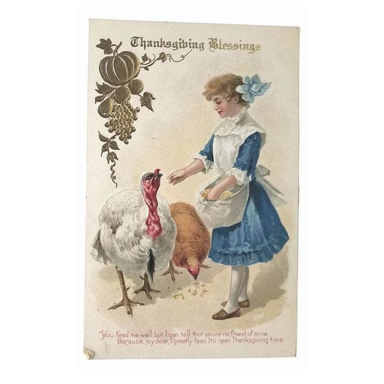 Thanksgiving Postcard Girl in Blue Feeding Turkeys Gold Embossed