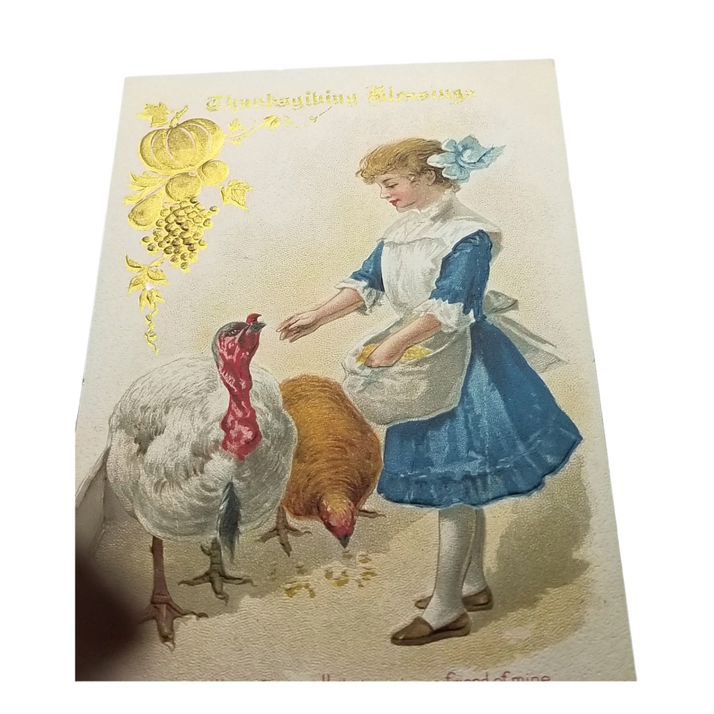 Thanksgiving Postcard Girl in Blue Feeding Turkeys Gold Embossed