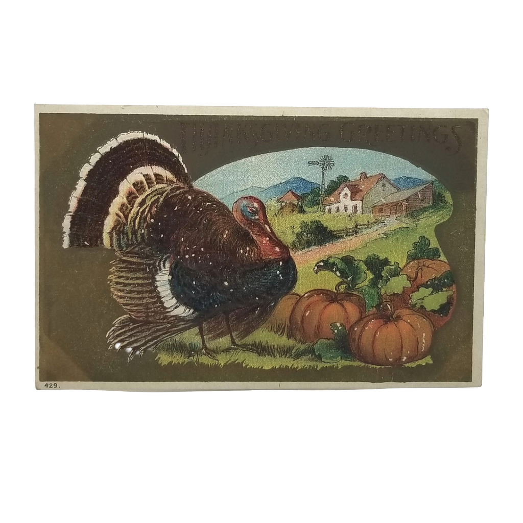 Thanksgiving Postcard Turkey with Pumpkins