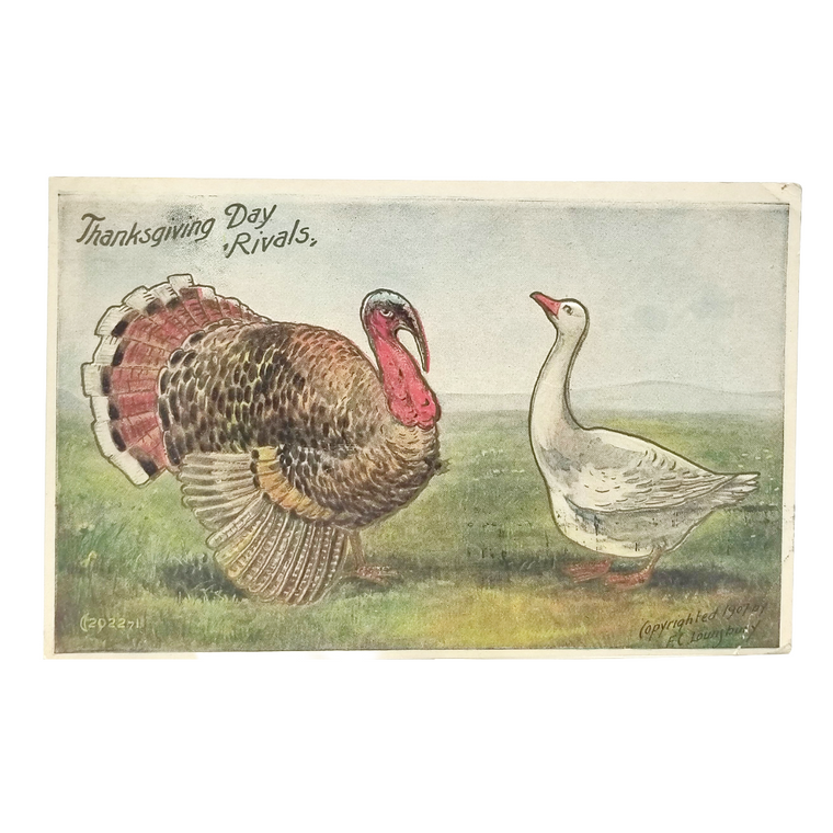 Thanksgiving Day Rivals Turkey & Goose Fred Lounsbury Postcard