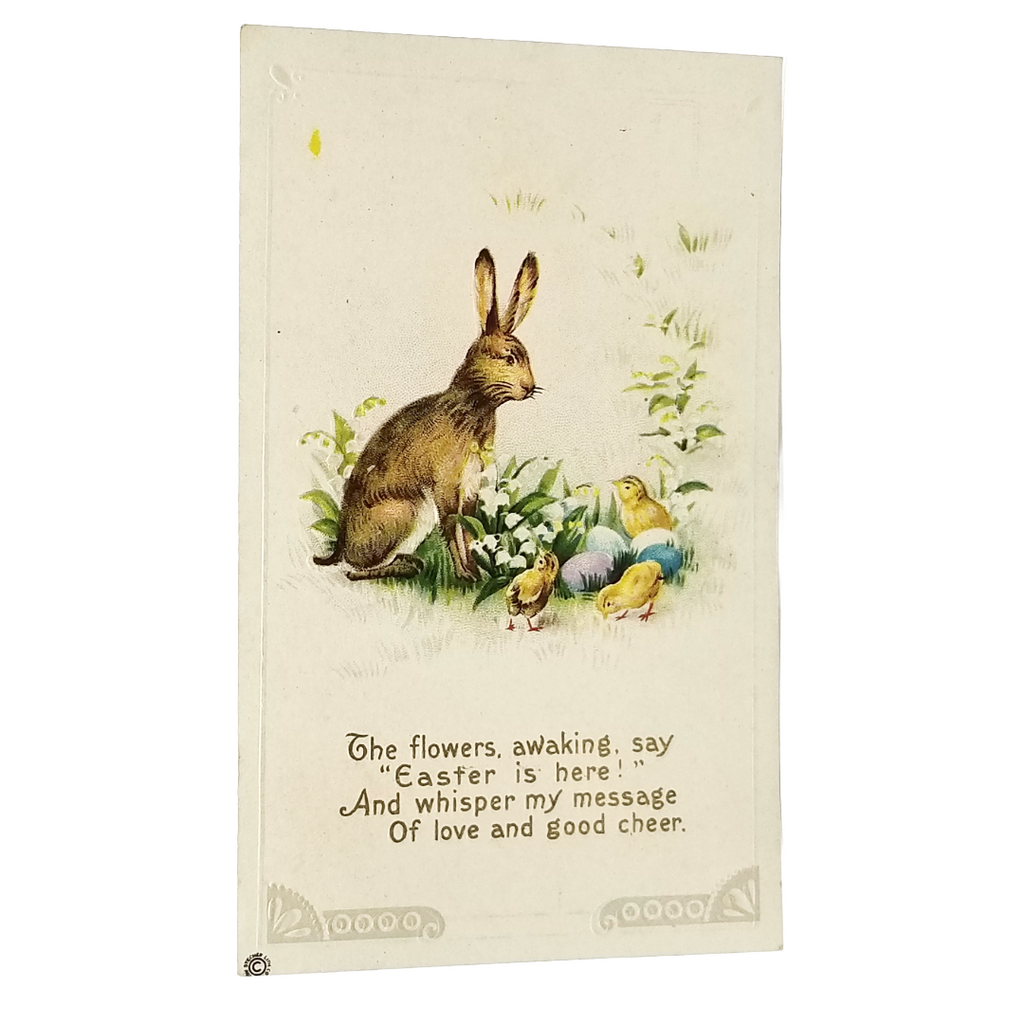 Easter Postcard Baby Chicks w/ Brown Bunny Rabbit Painted Eggs