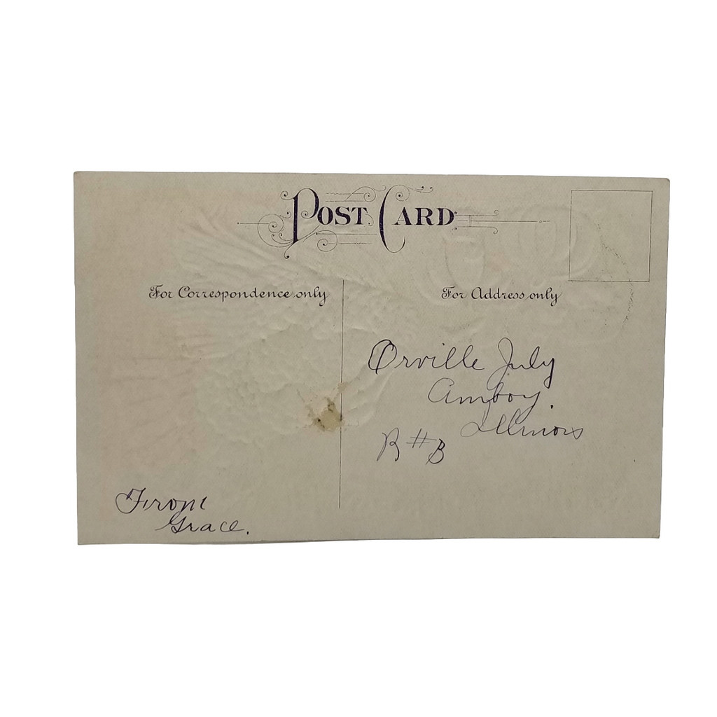 Thanksgiving Postcard Turkey with Pumpkins