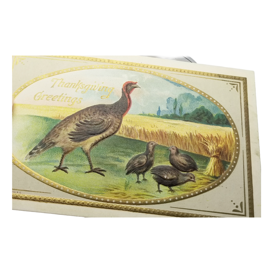 Thanksgiving Postcard Turkey with Babies in Yard Gold Highlights