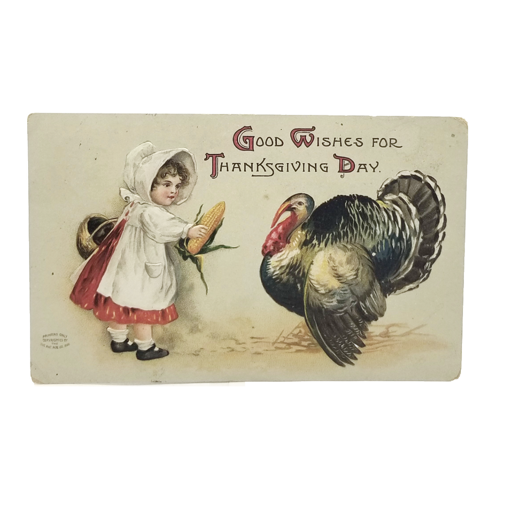Thanksgiving Postcard Little Girl Feeding Turkey Artist Clapsaddle