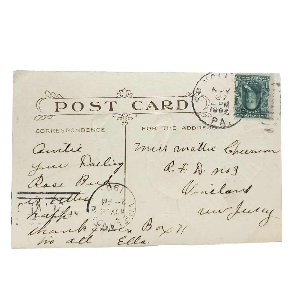 Thanksgiving Day Rivals Turkey & Goose Fred Lounsbury Postcard