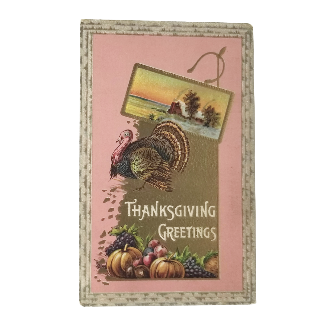 Thanksgiving Postcard Turkey with Harvest Pink Gold Background