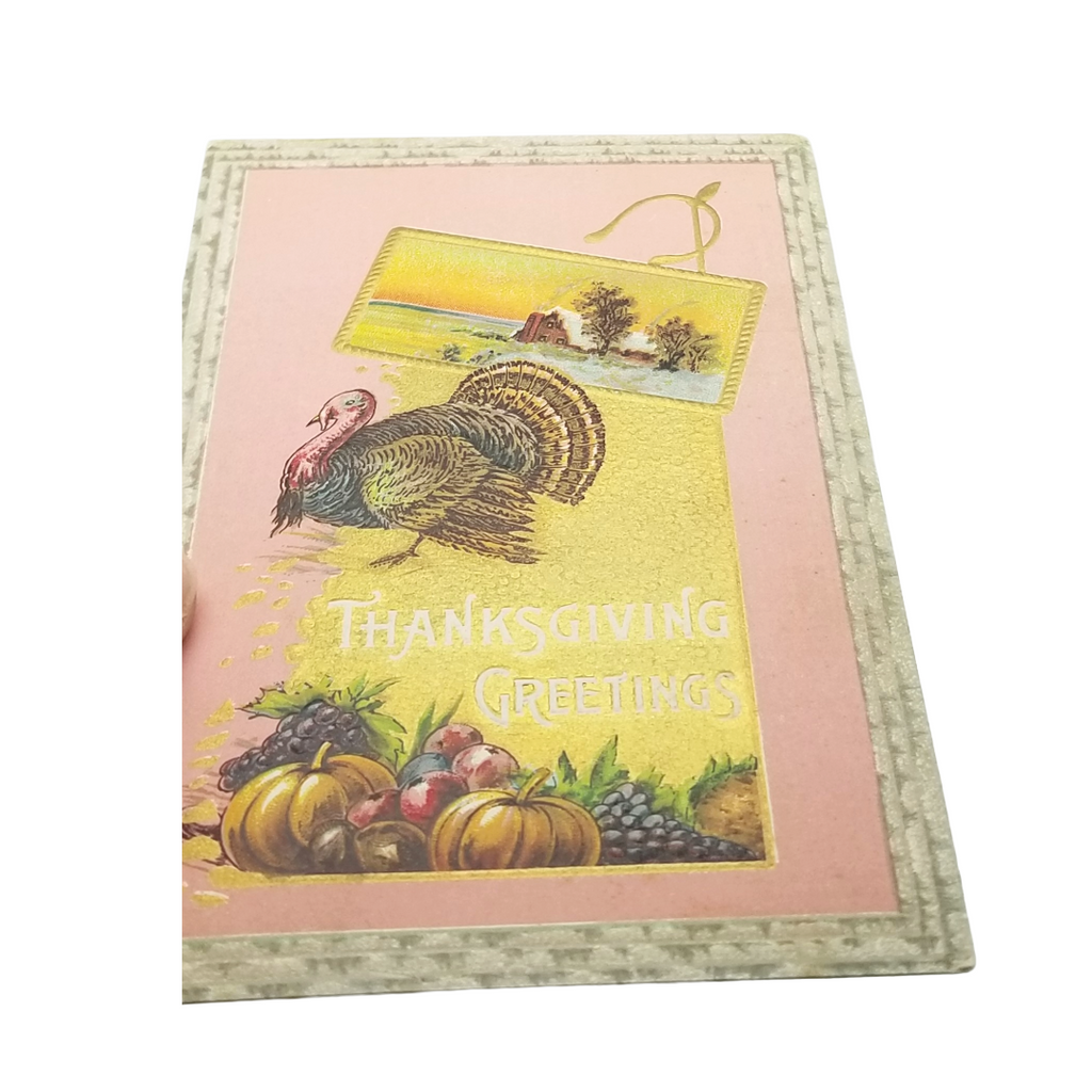 Thanksgiving Postcard Turkey with Harvest Pink Gold Background