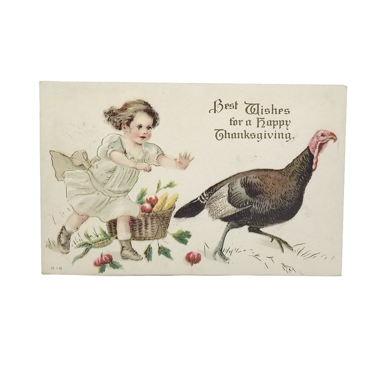 Thanksgiving Postcard Child Chasing Turkey