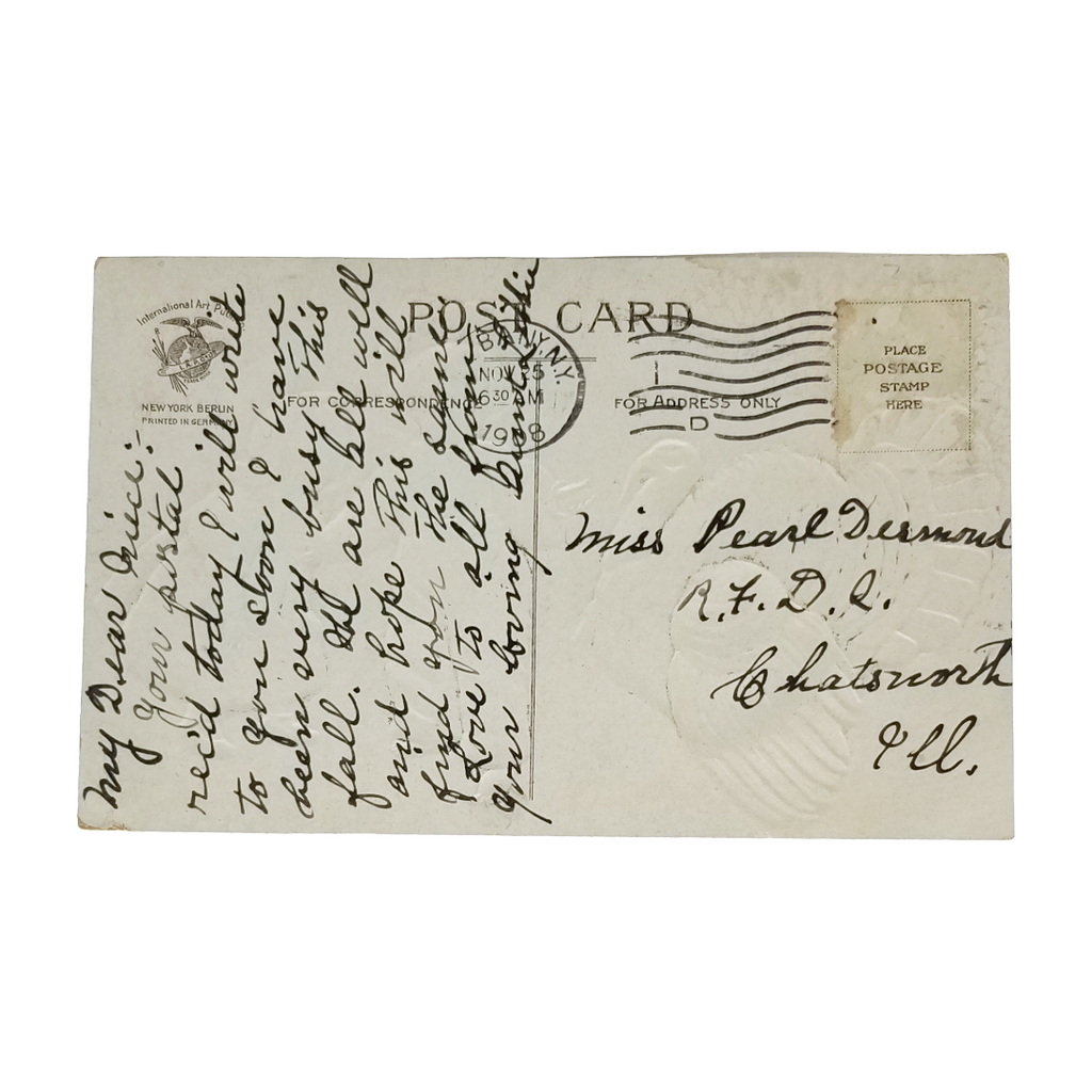 Thanksgiving Postcard Children Feeding Turkey Artist Clapsaddle 4440