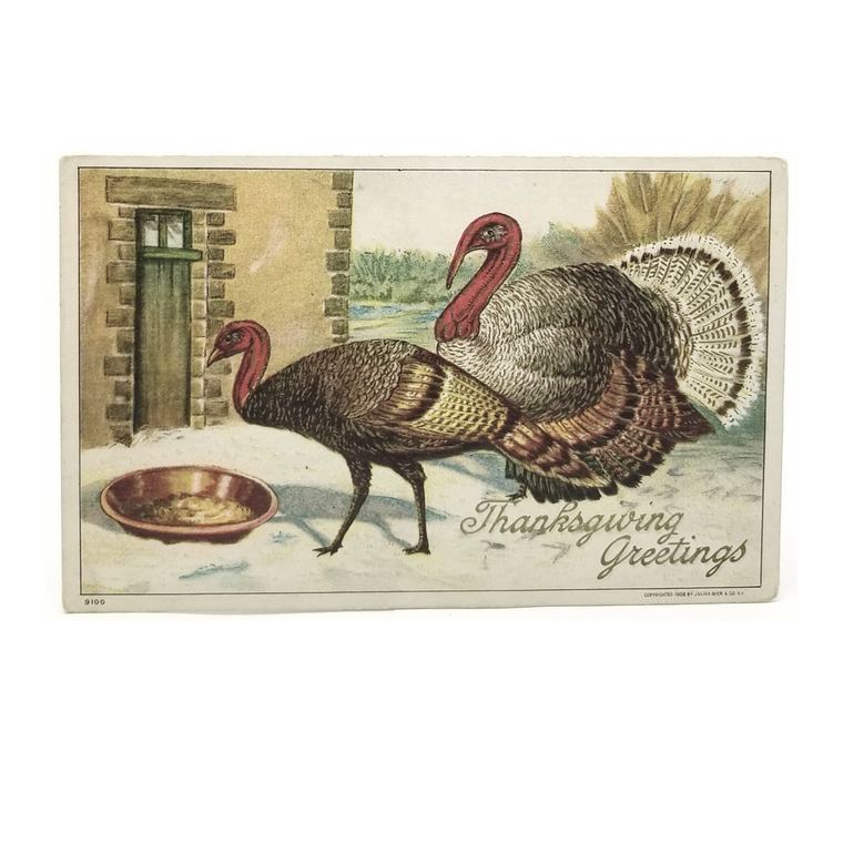 Thanksgiving Postcard Turkeys in Snow Series 910