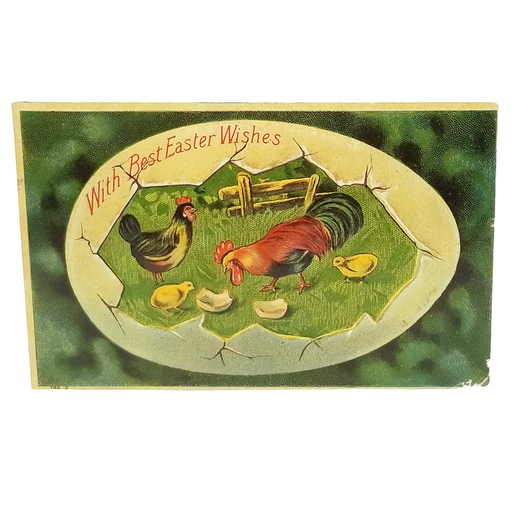 Easter Postcard Rooster & Hen Baby Chicks in Egg Frame