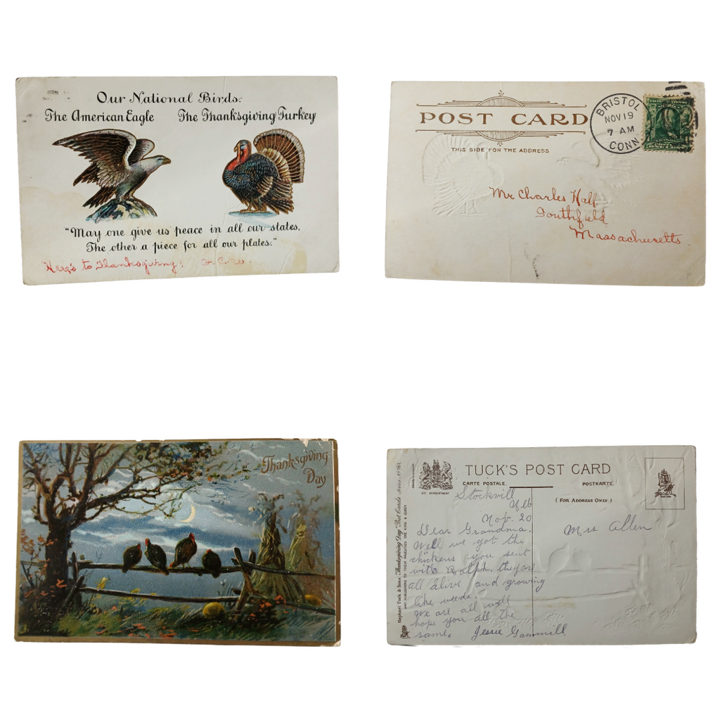 Thanksgiving Postcards Group of Fourteen (14) Cards Clapsaddles, Turkeys, Etc