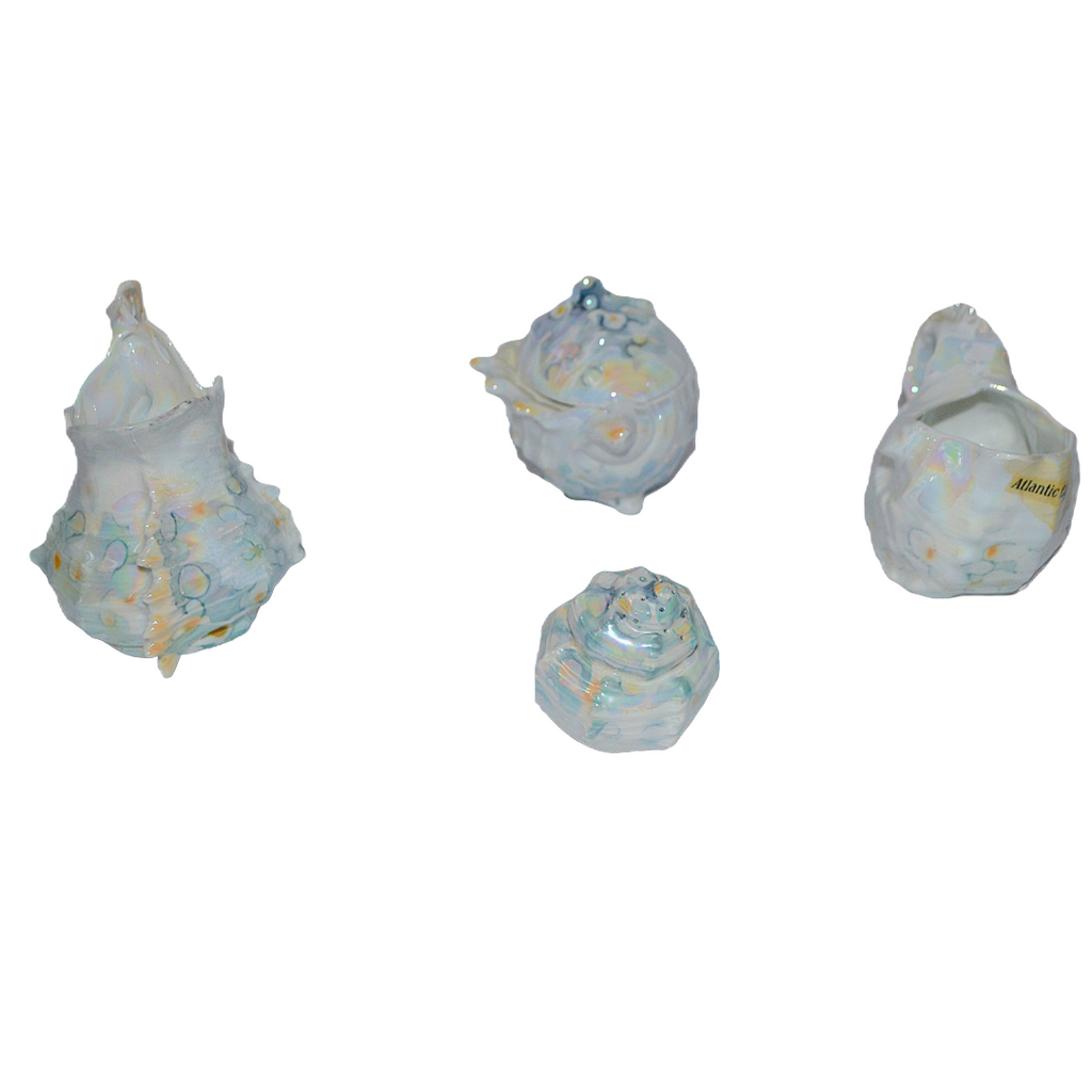 Royal Bayreuth Lusterware Spiky Murex Sea Shell 4 pc Set