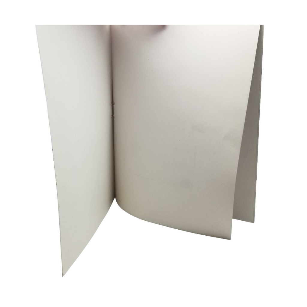 1920s Valentine Book Card Children Holding Hands Litho Images Interior