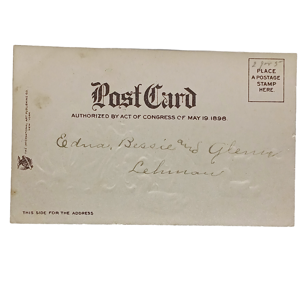 New Year Postcard Dutch Girl Floating In Giant Klompen w/Blue Ducks