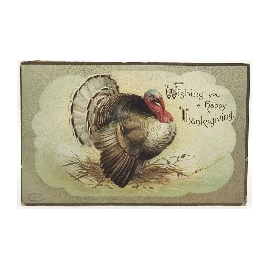 Wishing You a Happy Thanksgiving Turkey in Forest Artist Clapsaddle