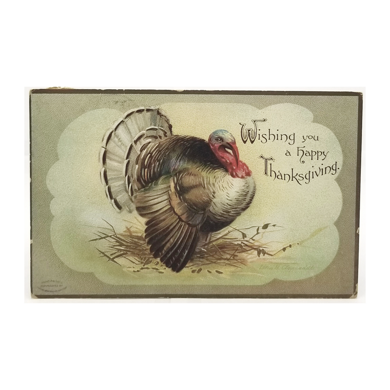 Wishing You a Happy Thanksgiving Turkey in Forest Artist Clapsaddle