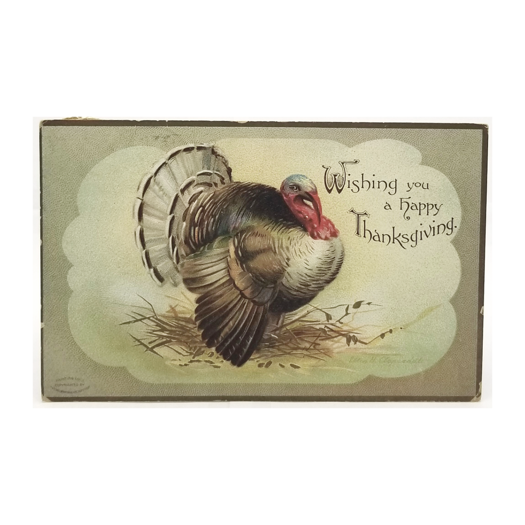 Wishing You a Happy Thanksgiving Turkey in Forest Artist Clapsaddle