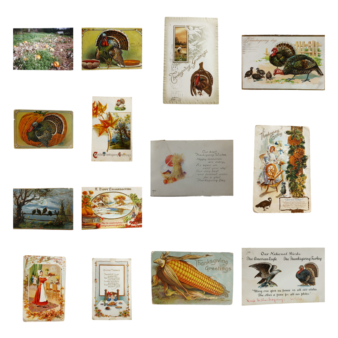 Thanksgiving Postcards Group of Fourteen (14) Cards Clapsaddles, Turkeys, Etc
