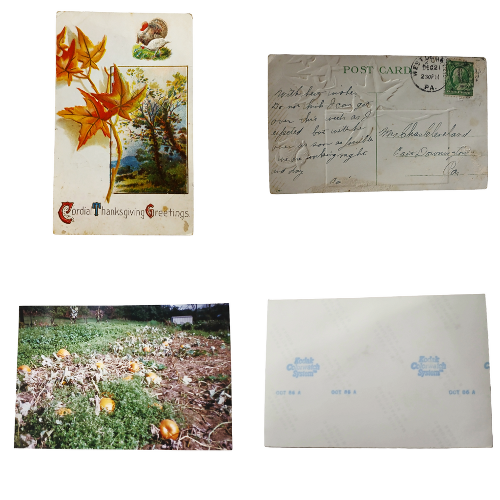 Thanksgiving Postcards Group of Fourteen (14) Cards Clapsaddles, Turkeys, Etc
