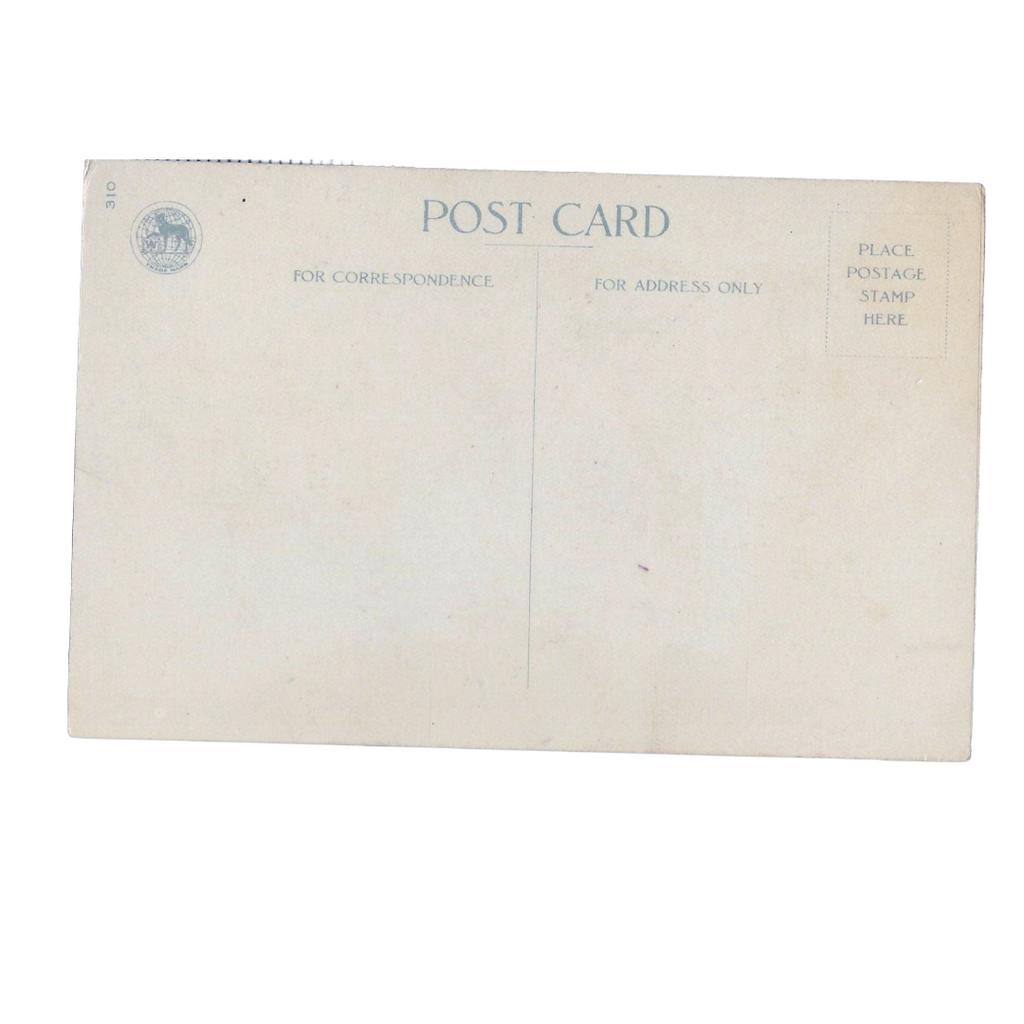 New Year Postcard Ellen Clapsaddle Children in Carriage Wolf Publishing Series 310